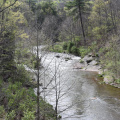 Will's Creek