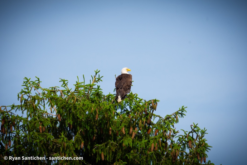DSC_8432.jpg