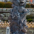 DSC 2090