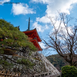 Japan Round 2!