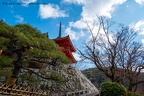 Japan Round 2!