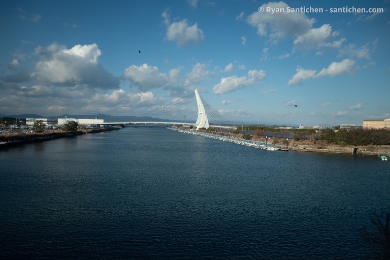 DSC_2296.jpg